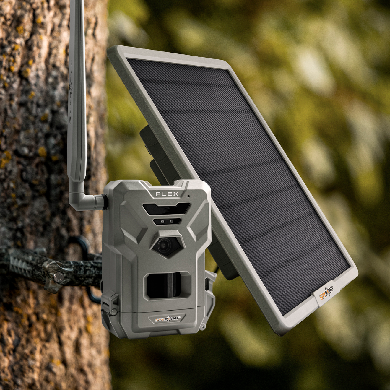 SPYPOINT SPLB-22 solar panel mounted to a trail camera setup on a tree in woodland environment
